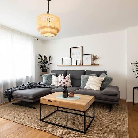 Luxury Apartment On The Rhein Busingen am Hochrhein Kültér fotó