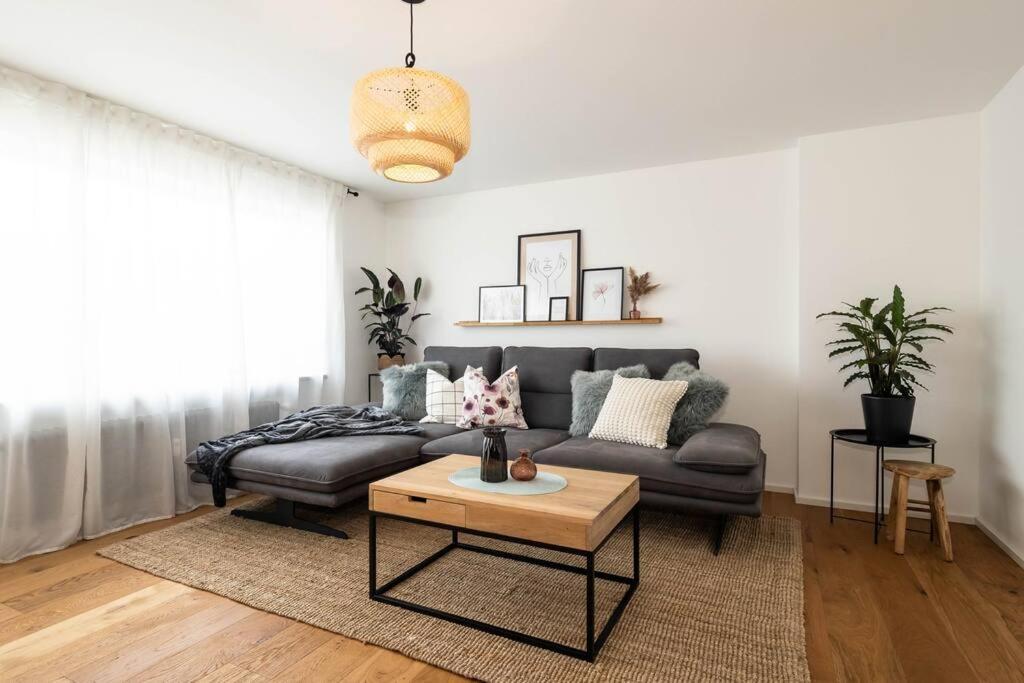 Luxury Apartment On The Rhein Busingen am Hochrhein Kültér fotó