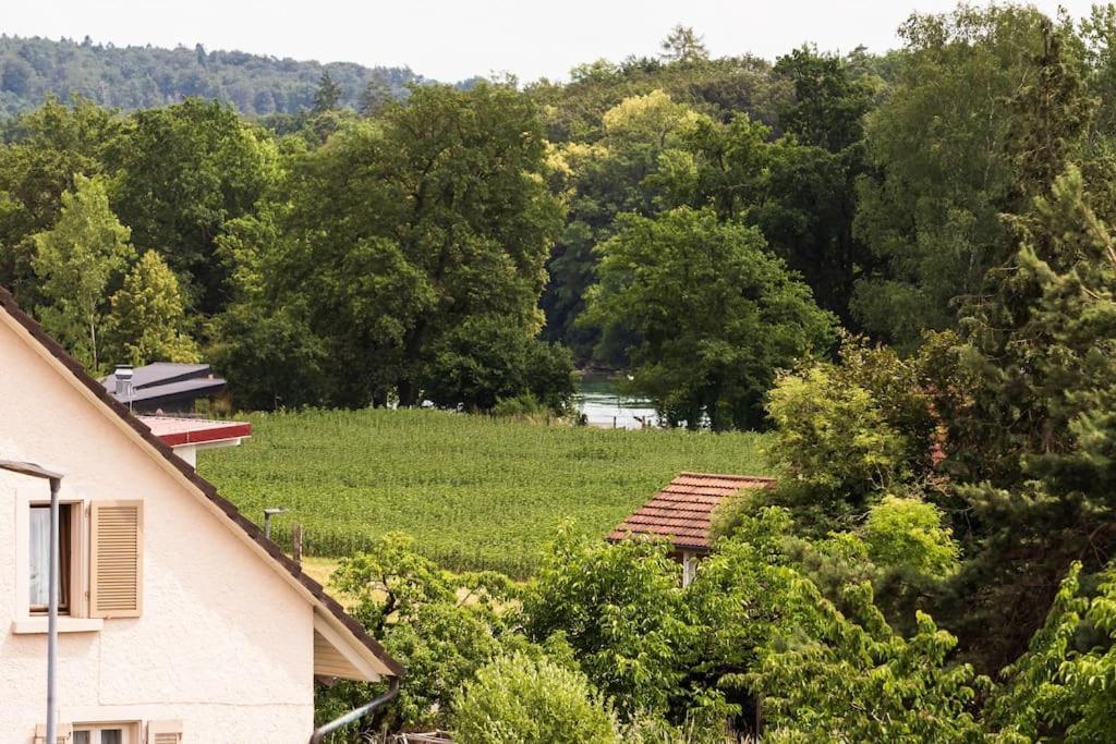 Luxury Apartment On The Rhein Busingen am Hochrhein Kültér fotó