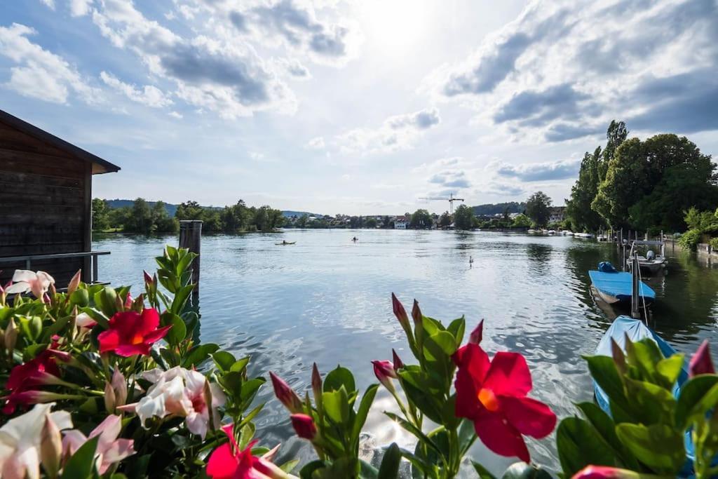 Luxury Apartment On The Rhein Busingen am Hochrhein Kültér fotó