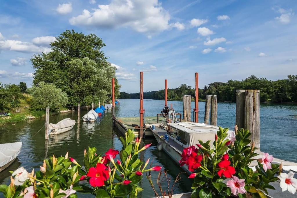 Luxury Apartment On The Rhein Busingen am Hochrhein Kültér fotó