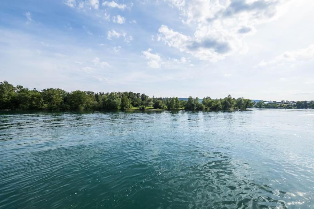 Luxury Apartment On The Rhein Busingen am Hochrhein Kültér fotó