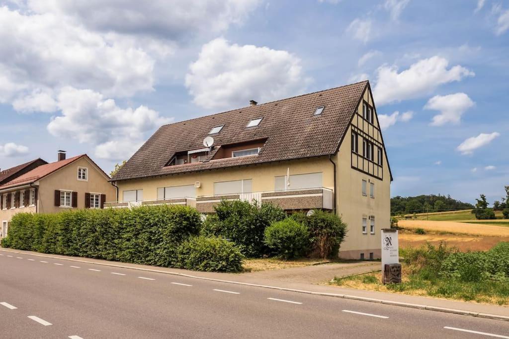 Luxury Apartment On The Rhein Busingen am Hochrhein Kültér fotó