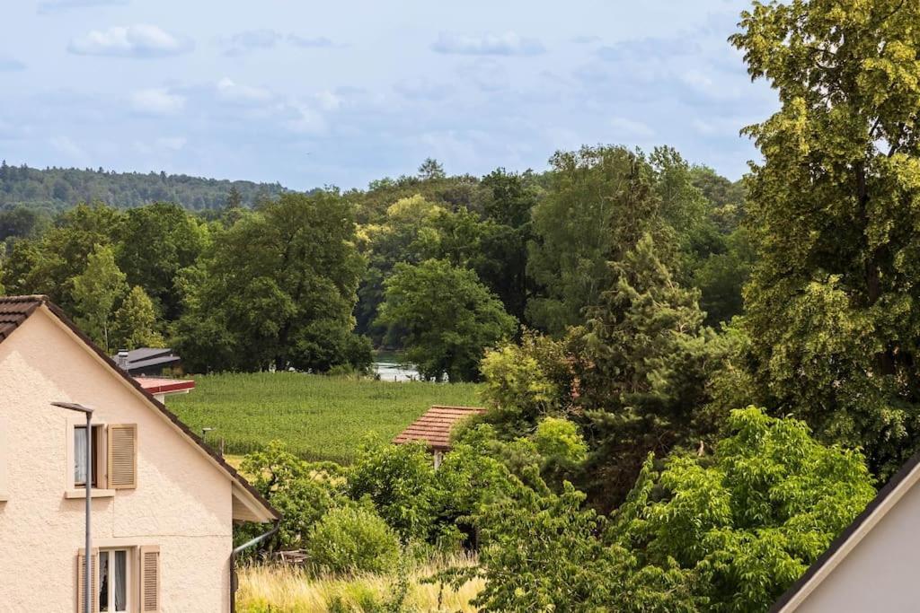 Luxury Apartment On The Rhein Busingen am Hochrhein Kültér fotó