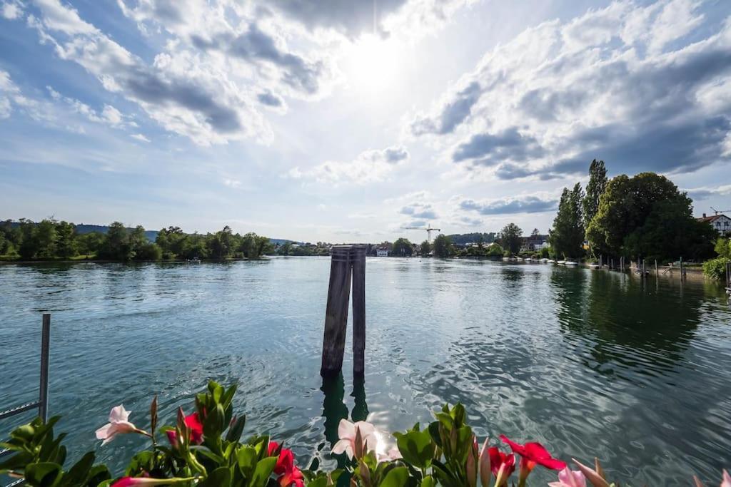 Luxury Apartment On The Rhein Busingen am Hochrhein Kültér fotó
