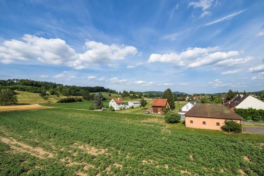 Luxury Apartment On The Rhein Busingen am Hochrhein Kültér fotó